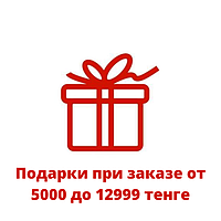 Подарки при заказе от 5000 до 12999