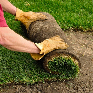 Укладка рулонного газона