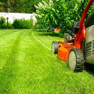 Уход за газоном