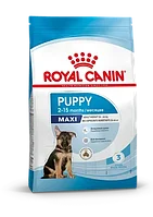 ROYAL CANIN Maxi Puppy для щенков крупных пород 15кг