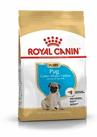 ROYAL CANIN Pug Puppy для собак породы мопс в возрасте до 10 месяцев 1,5кг