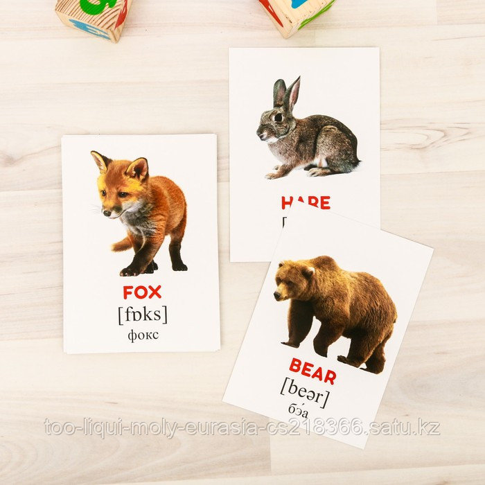 Обучающие карточки по методике Г. Домана «Дикие животные на английском языке», 12 карт, А6 - фото 2 - id-p100283996
