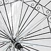 Прозрачный купольный зонт, фото 5