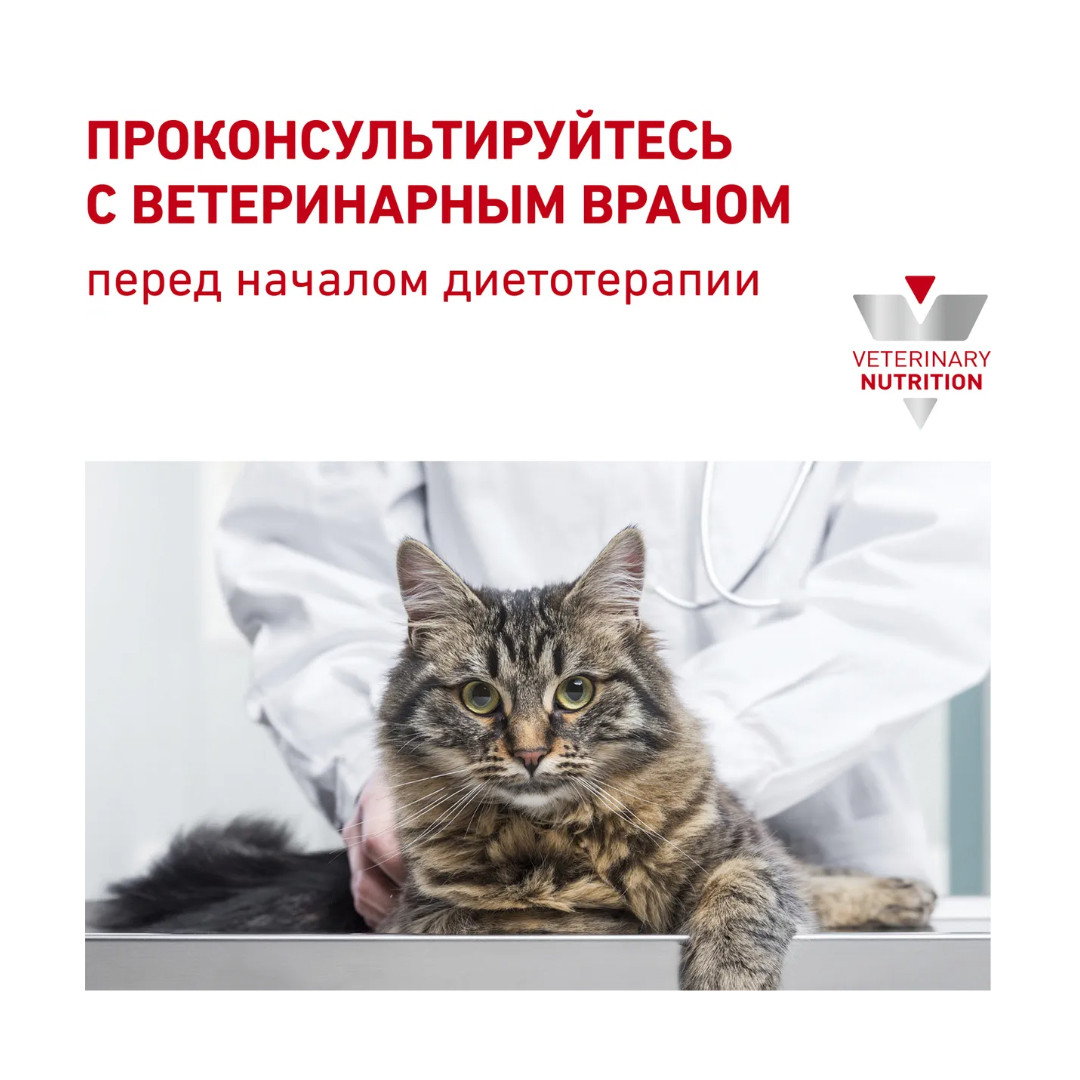 ROYAL CANIN Gastrointestinal для кошек при острых расстройствах пищеварения 2кг - фото 6 - id-p100306034