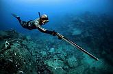 Дайвинг, подводная охота, водный спорт