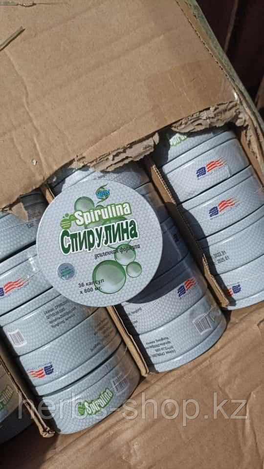 Спирулина в круглой железной банке для похудения