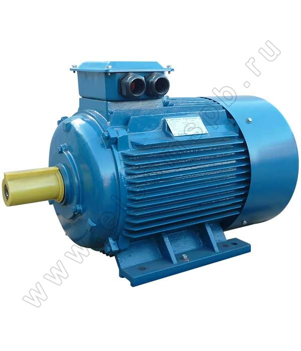 Электродвигатель АИР (5АИ) 250 М6 1001 (55 кВт/1000 об.мин) - фото 1 - id-p100333477