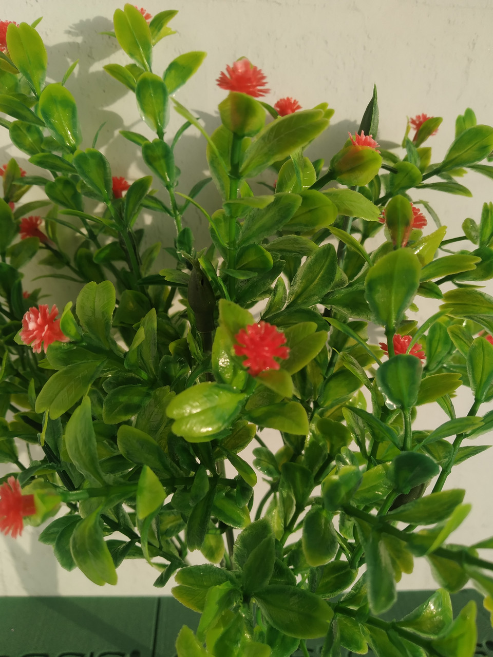 Пенис қынаптан кішірек