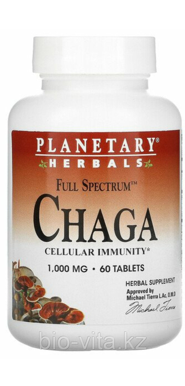 Чага Chaga 1000 мг 60 таблеток.
