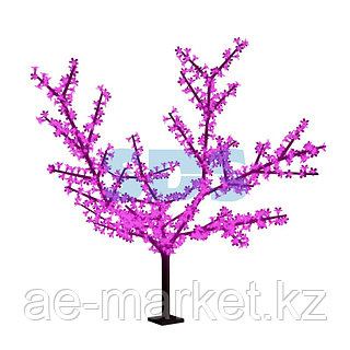 Сургитронды анальды жарықшақ