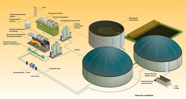 Аналардың ретро порно фотосуреттері