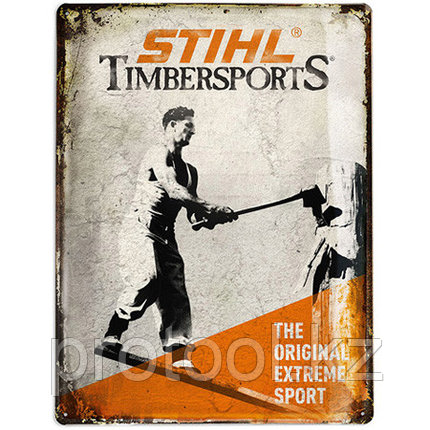 Металлическая табличка History, фото 1