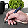 Ручка шариковая BRO, Коричневый, -, 27301 14, фото 4