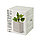 Горшочек для выращивания мяты с семенами (6-8шт) в коробке MERIN, биоразлагаемый материал, дерево, бежевый, ,, фото 2