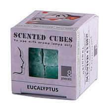 Аромакубики ЭВКАЛИПТ (8шт), Зеленый, -, 32601 eucalyptus