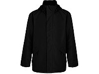 Парка утепленная Europa мужская, черный