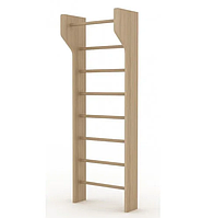 Шведская стенка с встроенным турником