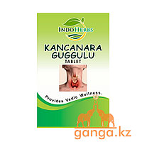 Канчнара Гуггул при заболеваниях лимфатической системы (Kancanara Guggulu tablet INDOHERBS), 60 таб