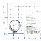 Кольцо из серебра с рубином нат. (h) и рубином Teosa R-DRGR00750-RB покрыто  родием, фото 2