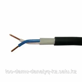 Силовой кабель ВВГнг 2х2.5