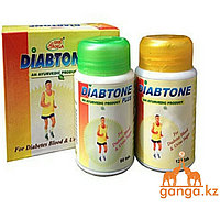 Диабтон и Диабтон Плюс от Сахарного Диабета (Diabtone SHRI GANGA), 120 таб + 60 таб