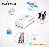 GPS-трекер для животных TKSTAR TK-909, фото 5