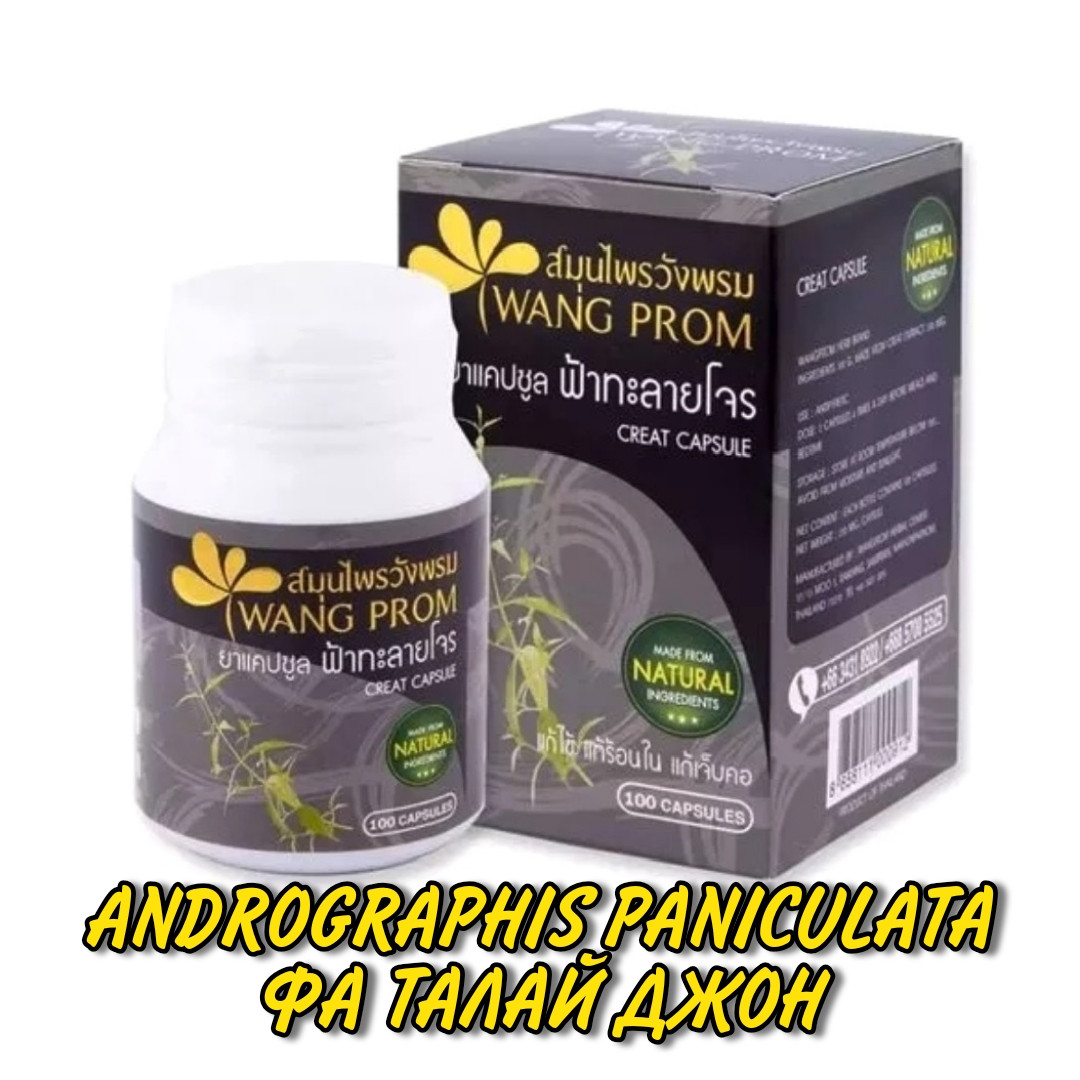 Капсулы Андрографис Фа Талай Джон Wang Prom Creat Capsule противовирусное средство для лечения простуды,