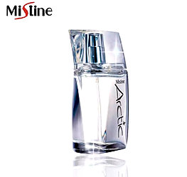 Парфюмированная мужская вода Mistine Arctic Perfume Spray For Men, 50 мл., Таиланд