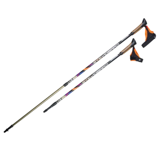 Палки для скандинавской ходьбы Carbon GTS