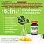 Гинкго Билоба плюс витамины группы B Clover Plus Multi B + Ginkgo, 30 капсул. Таиланд, фото 3