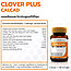 Витамины для суставов и хрящевой ткани Calcad Clover Plus, 30 капсул. Таиланд, фото 2