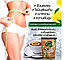 Чай лечебный общеукрепляющий из Моринги Otop Moringa Drink Powder By Gen Herb, 30 пакетов, Таиланд, фото 4