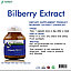 Витамины для улучшения зрения и здоровья глаз  Morikami Laboratories Bilberry Extract, 30 капсул. Таиланд, фото 5