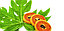 Чай из листьев Папайи для чистки лимфы и от раковых заболеваний Dried Papaya Leaf Tea, 50 гр., Таиланд, фото 2