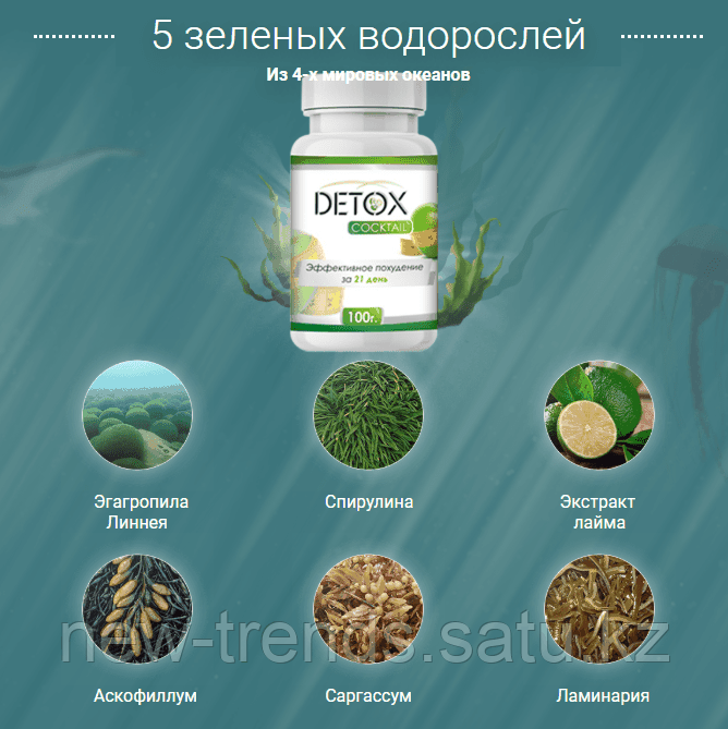 Детокс Для Похудения Купить Отзывы