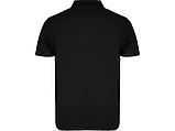 Рубашка поло Austral мужская, черный, фото 2
