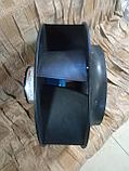 RH50V-ZIK.DG.1R, фото 3