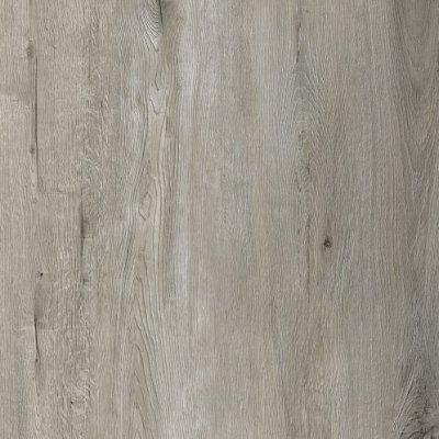 SPC Aberhof Alfa  1516 Apfel