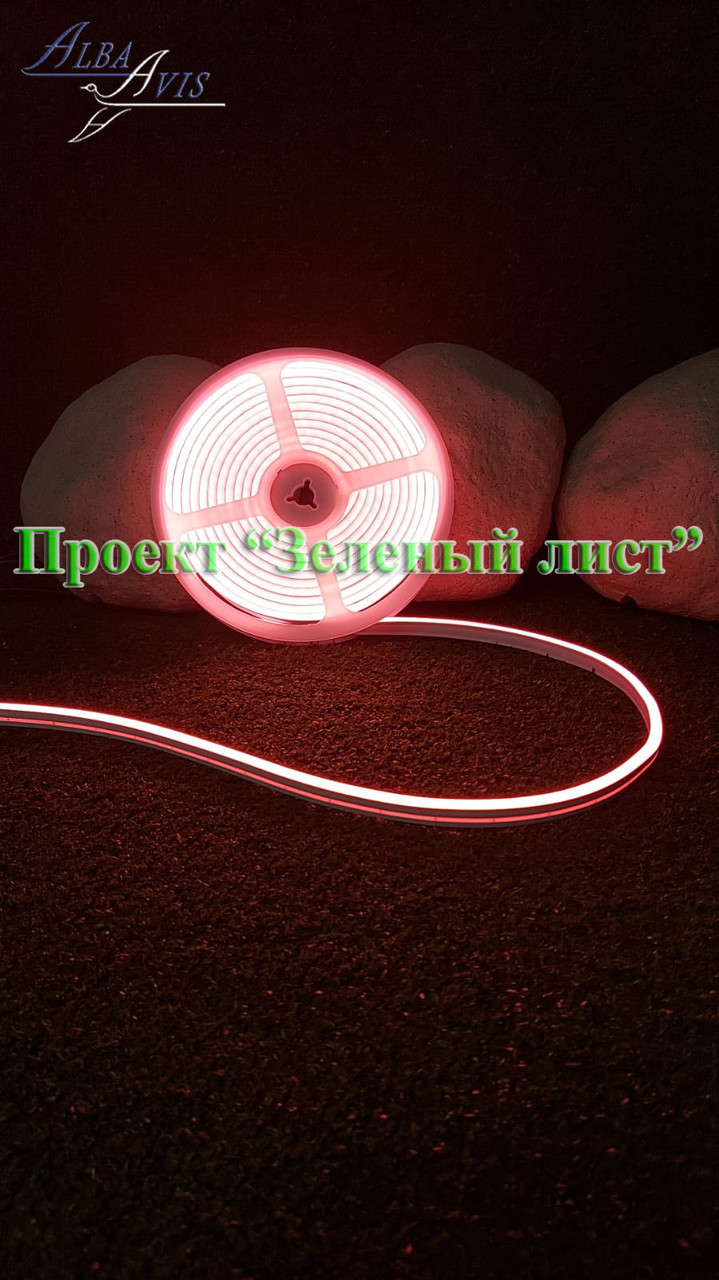Светодиодный гибкий неон 12 v, холодный гибкий неон 12 V, гибкий неон Холодный неон розовый.