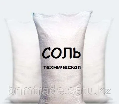 Соль техническая - фото 1 - id-p100688544