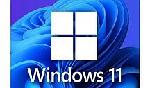 Microsoft Windows 11 Pro 32/64-bit, ESD