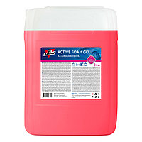 Sintec Dr. Active Активная пена "Active Foam Gel" (24 кг)