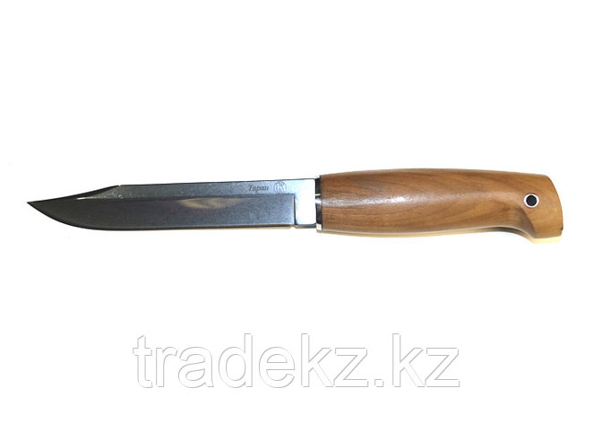 Нож с фиксированным лезвием Таран Кизляр 011161, фото 2
