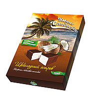 Конфеты «Умные сладости» с кокосовой начинкой «Шоколадный остров» 90г