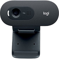 Интернет-камера Logitech C505 HD Webcam