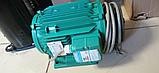3-LS100L-4PT, фото 3