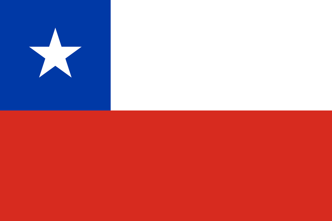 Государственный флаг Чили - фото 1 - id-p100789689