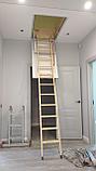 Чердачная лестница 60х120х335 FAKRO LWK Komfort, фото 7