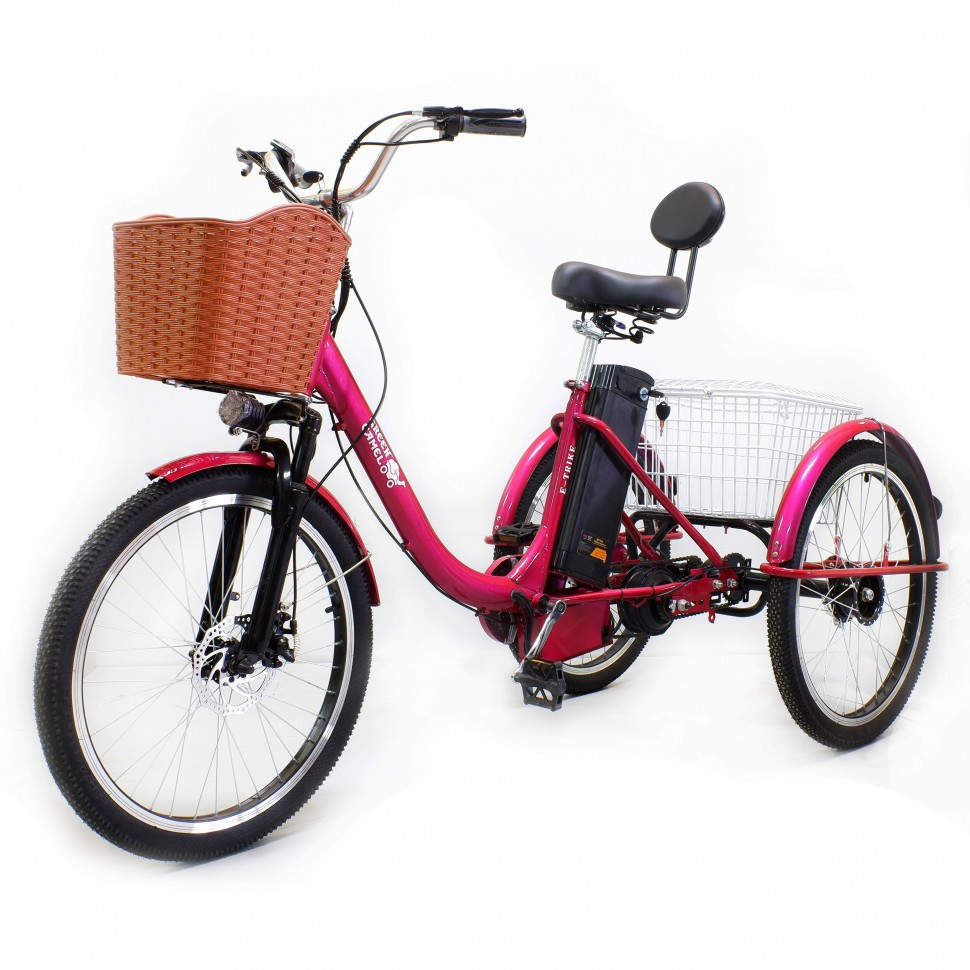 Электровелосипед GreenCamel Трайк-B (R24 500W 48V 15Ah) задний привод - фото 1 - id-p91608103