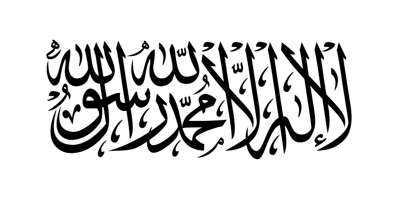 Флаг движения Талибан - фото 1 - id-p100798873